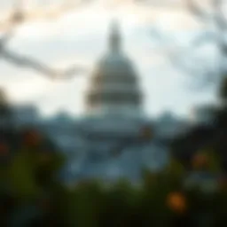 Understanding Capitol 1 Platinum: A Comprehensive Overview Introduction