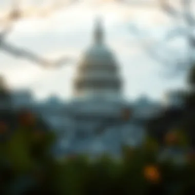 Understanding Capitol 1 Platinum: A Comprehensive Overview Introduction